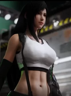 [自行打包] [Jerid]Tifa vs wedge c [1+600MB][百度盘]